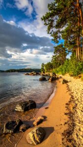 en strandvisa av Gustaf Fröding